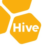 Yellow Hive