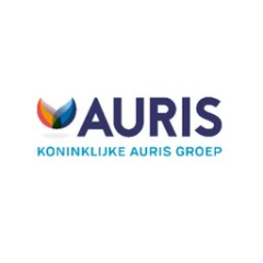 Koninklijke Auris Groep