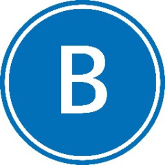 Buurtzorg