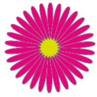 Aster Zorg