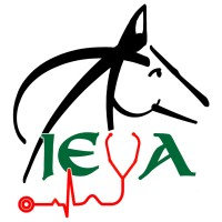 Irish Equine Veterinary Association